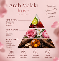 Arab Malaki rose